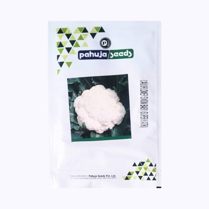 Pahuja Snow Baby (Superkatki) Cauliflower Seeds