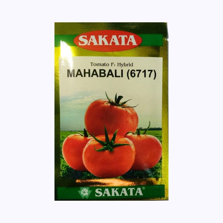 Sakata Mahabali (6717) Tomato Seeds
