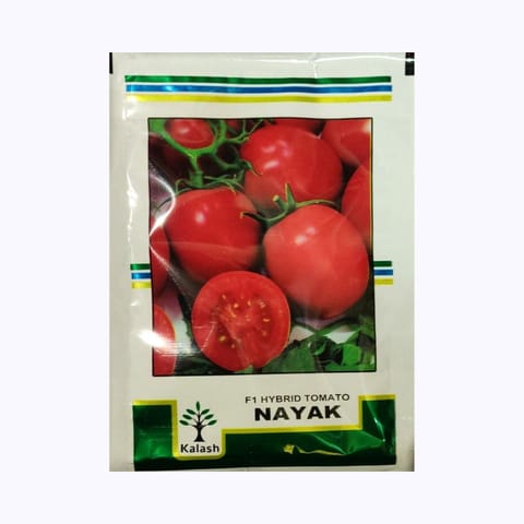 Kalash Nayak Tomato Seeds