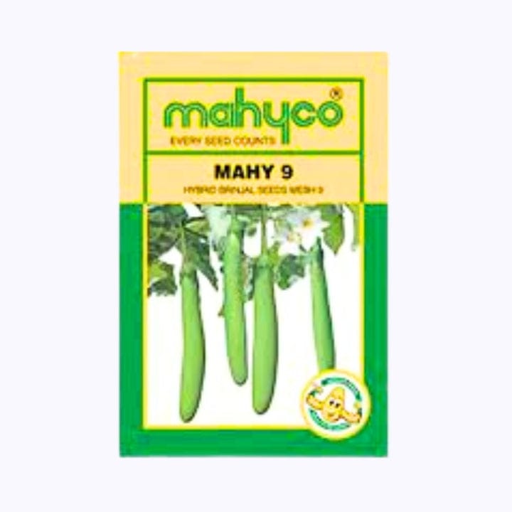 Mahyco Mahy 9 Brinjal Seeds