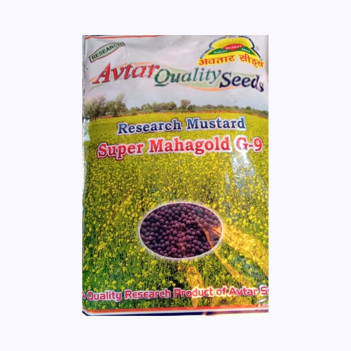 Avtar Super Mahagold G-9 Mustard Seeds