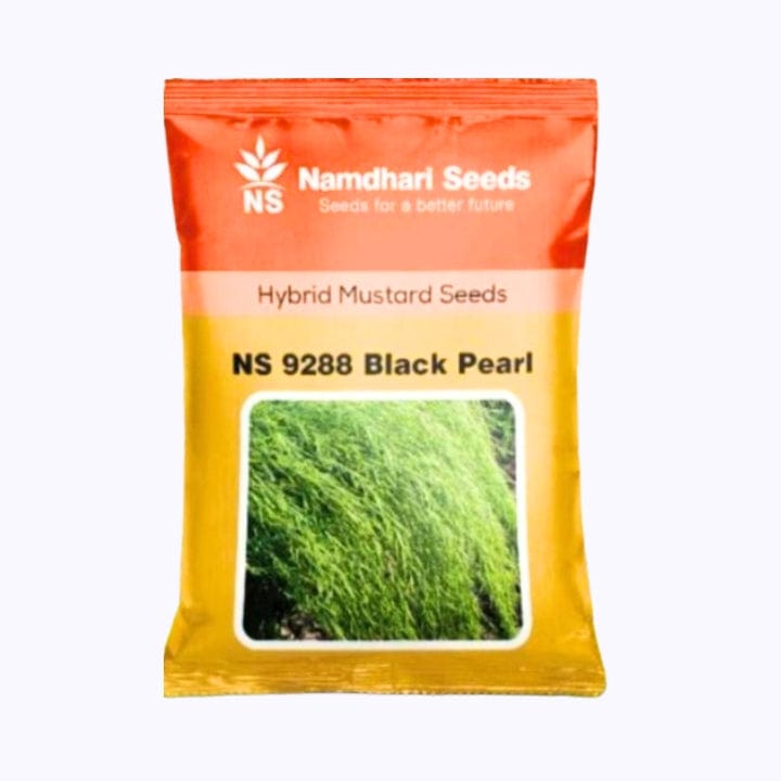 Namdhari NS 9288 Black Pearl Mustard Seeds
