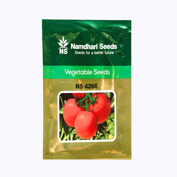 Namdhari NS 4266 Tomato Seeds