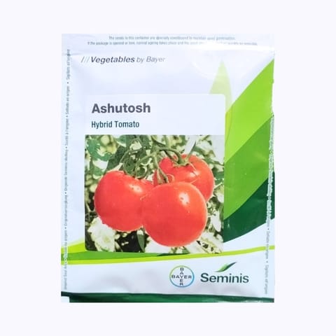 Bayer Seminis Ashutosh Tomato Seeds