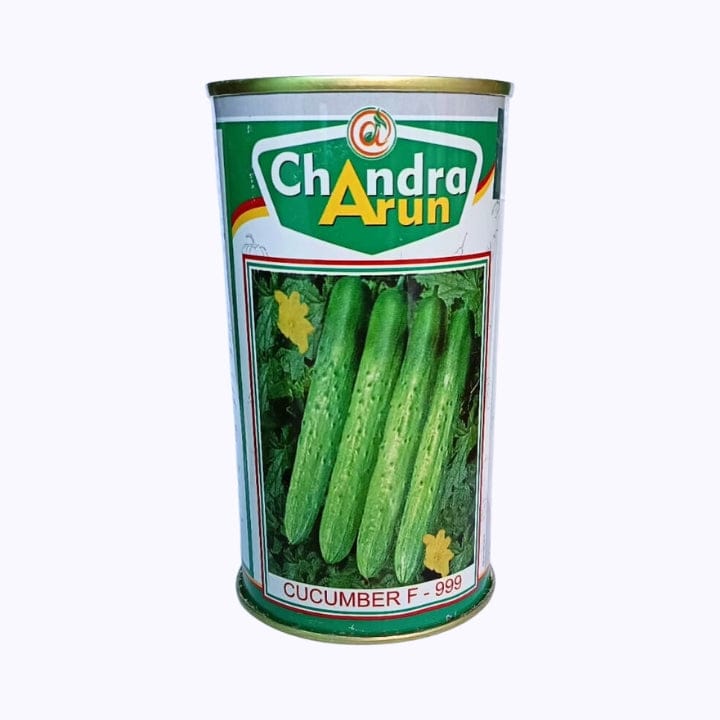 Chandra Arun 999 Cucumber Seeds