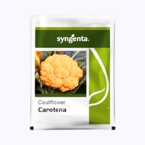 Syngenta Carotena Cauliflower Seeds