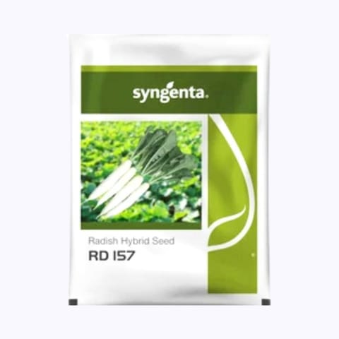 Syngenta RD 157 Radish Seeds