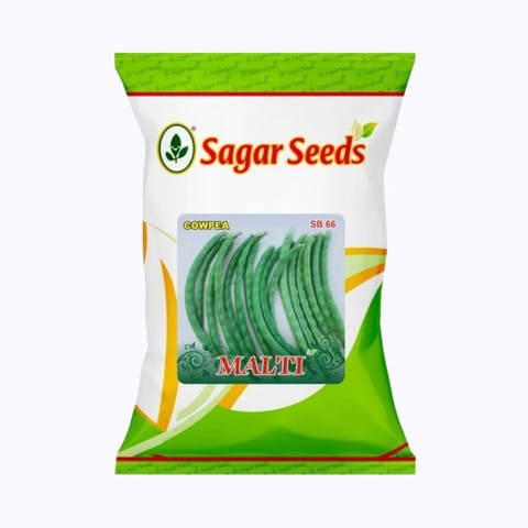 Sagar Malti Cow Pea Seeds