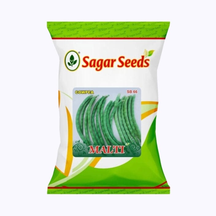 Sagar Malti Cow Pea Seeds