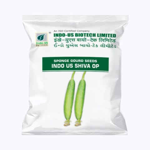 Indo-Us Shiva Sponge Gourd Seeds