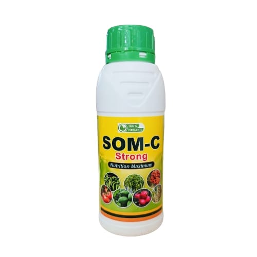 Som-C Strong
