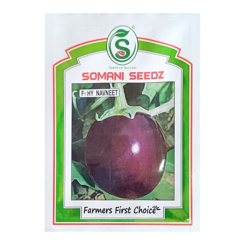 Somani Seedz Navneet Brinjal Seeds