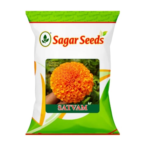 Sagar Satvam Marigold Flower Seeds