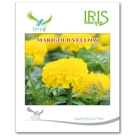 Iris Marigold Yellow Flower Seeds