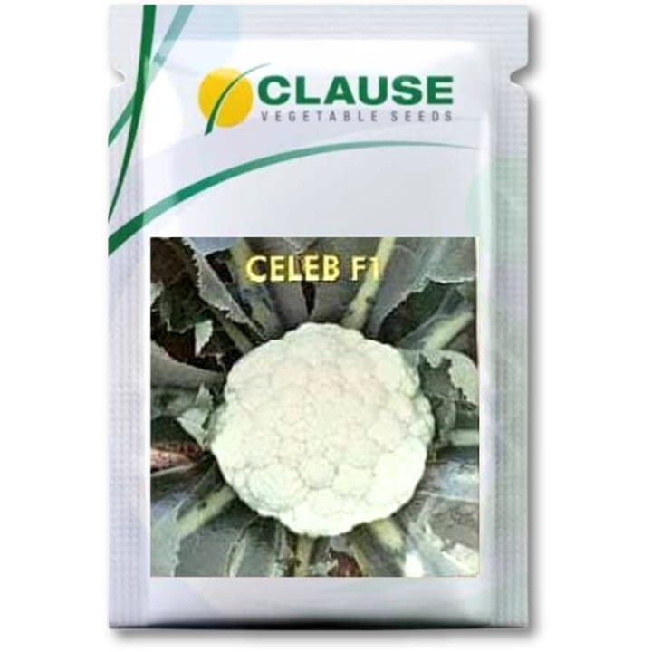 Clause Celeb F1 Cauliflower Seeds