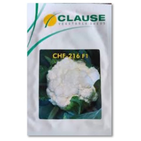 Clause CHF-216 F1 Cauliflower Seeds