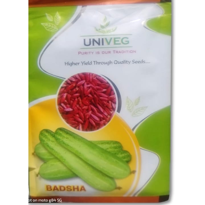 Univeg Badsha Cucumber Seeds