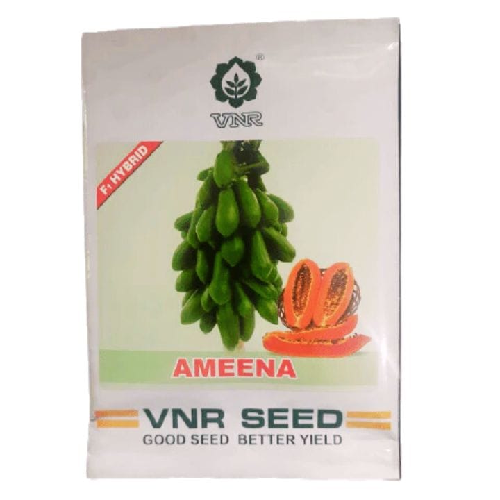 VNR Ameena F1 Hybrid Papaya (पपीता ) Seeds