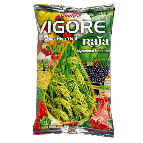 Geolife Vigore Raja - Enhanced Crop Growth and Yield Booster