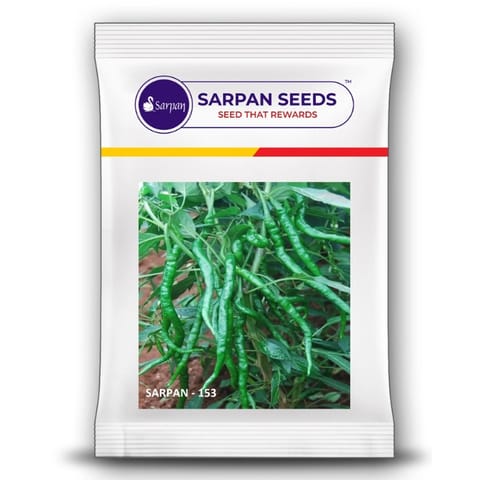 Sarpan - 153 F1 Hybrid Chilli Seeds