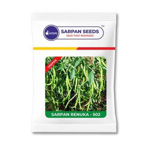 Sarpan Renuka Light Green Chilli Seeds