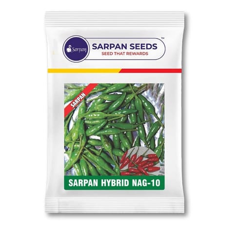 Sarpan Nag-10 (Birdeye Chilli) Seeds