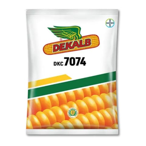 Bayer Dekalb DKC 7074 Maize Seeds