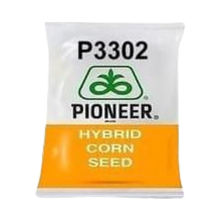 Pioneer P3302 Corn Seeds