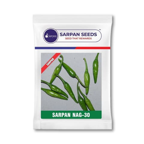 Sarpan Nag-30 Chilli Seeds