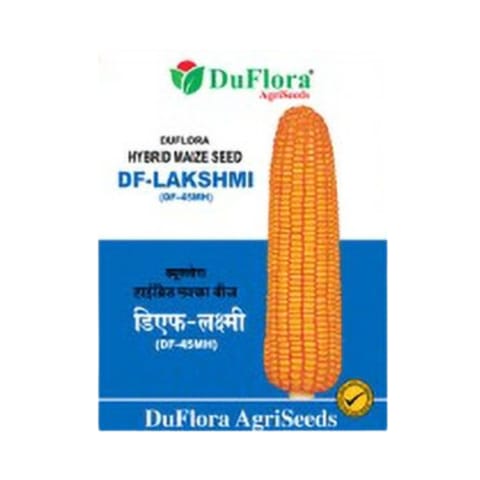 Duflora DF-Lakshmi (DF-45MH) Maize के बीज खरीदें - उच्च उपज, रोग प्रतिरोधक
