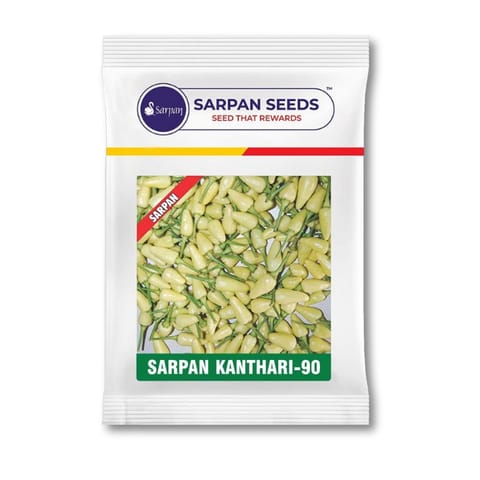 Sarpan Kanthari-90 Chilli Seeds