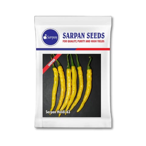 Sarpan Haldi-63 Chilli Seeds