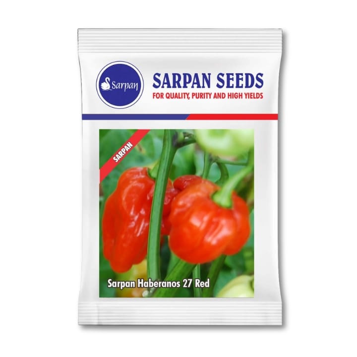 Sarpan Haberanos 27 Red Chilli Seeds