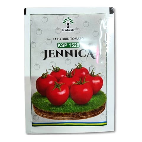 Kalash KSP 1528 Jennica Tomato Seeds