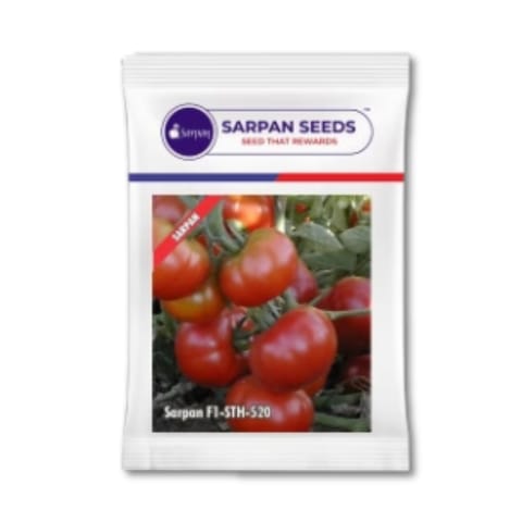 Sarpan F1-STH-520 Tomato Seeds