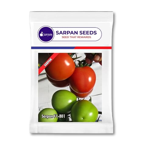 Sarpan F1-801 Tomato Seeds