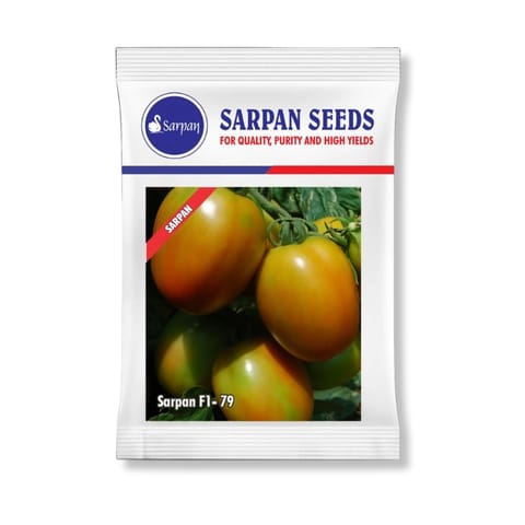 Sarpan F1- 79 Tomato Seeds