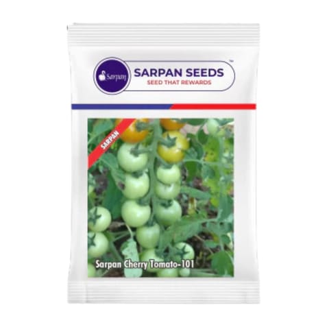 Sarpan Cherry Tomato-101 Seeds