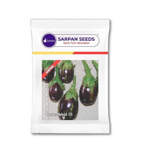Sarpan Brinjal -25 Seeds