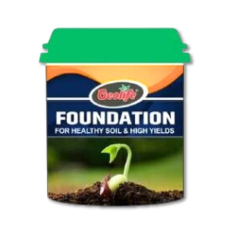 Geolife Foundation Fertilizer