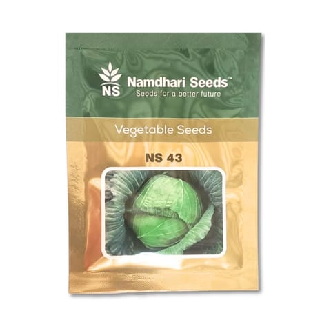 Namdhari NS 43 Cabbage Seeds