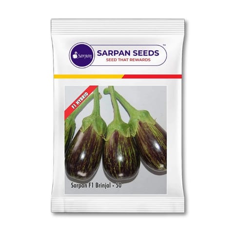 Sarpan F1 Brinjal- 50 Seeds