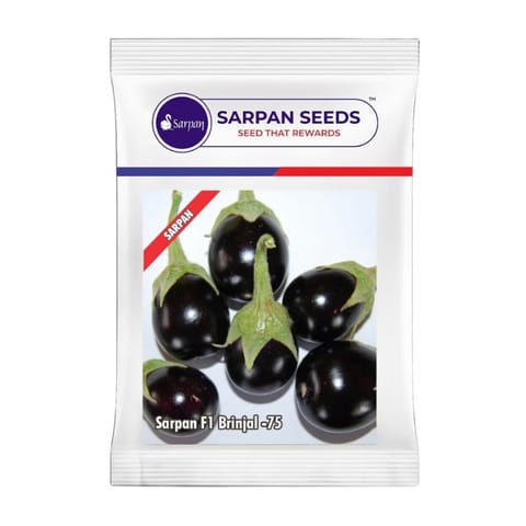 Sarpan F1 Brinjal -75 Seeds खरीदें