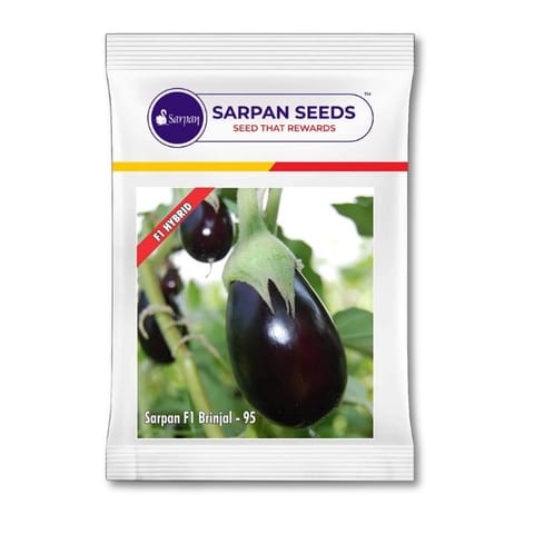 Sarpan F1 Brinjal-95 Seeds खरीदें