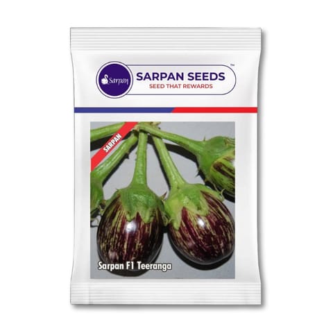 Sarpan F1 Brinjal Teeranga Seeds खरीदें