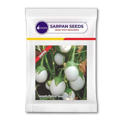 Sarpan F1 Brinjal Snowball Brinjal Seeds खरीदें