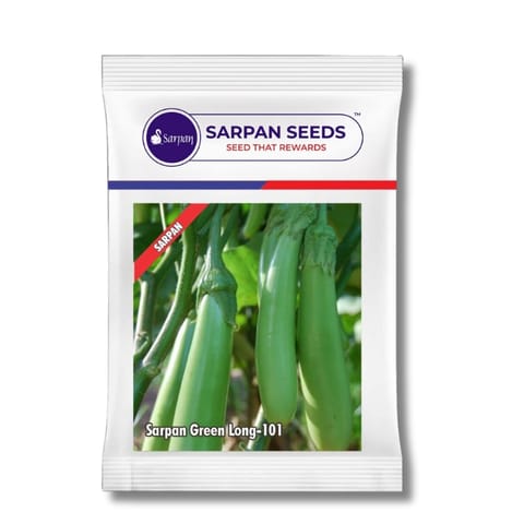 Sarpan Green Long 101 Brinjal Seeds खरीदें