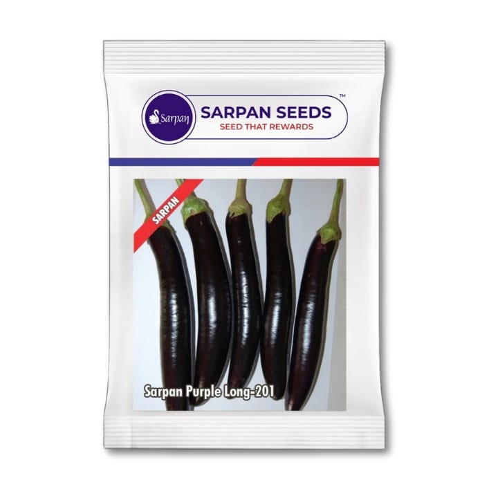 Sarpan Purple Long-201 Brinjal Seeds