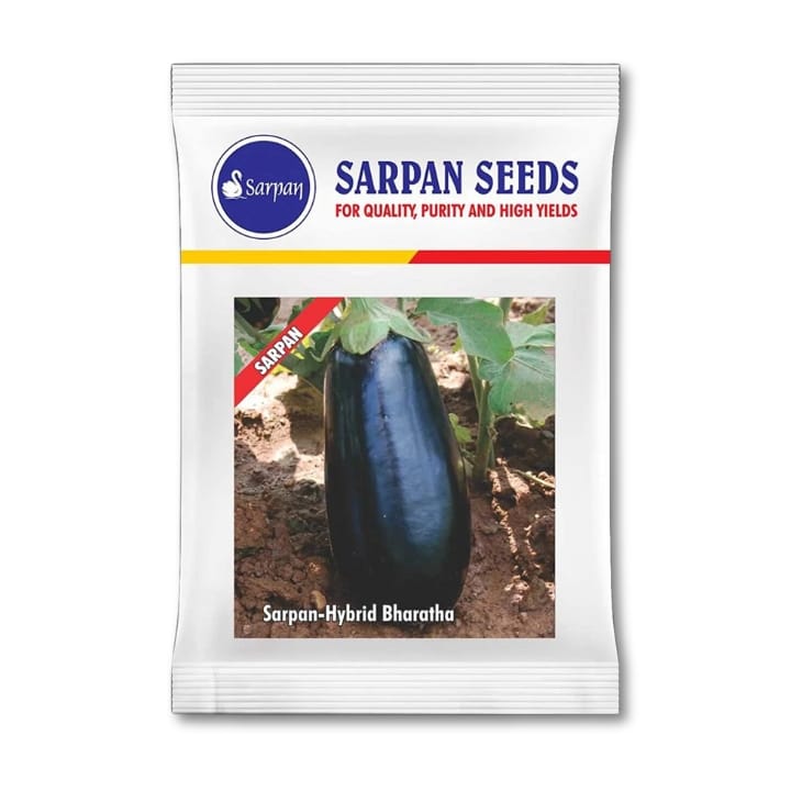 Sarpan Brinjal Bharatha Seeds