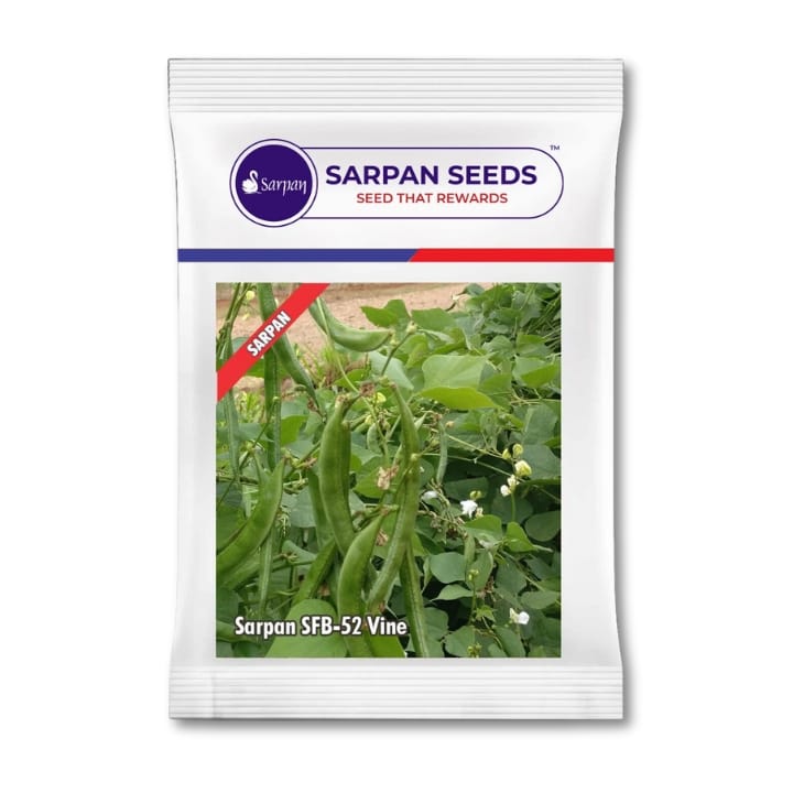 Sarpan SFB-52 Vine Dolichos Seeds